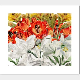 Flowered Elegance Posters and Art